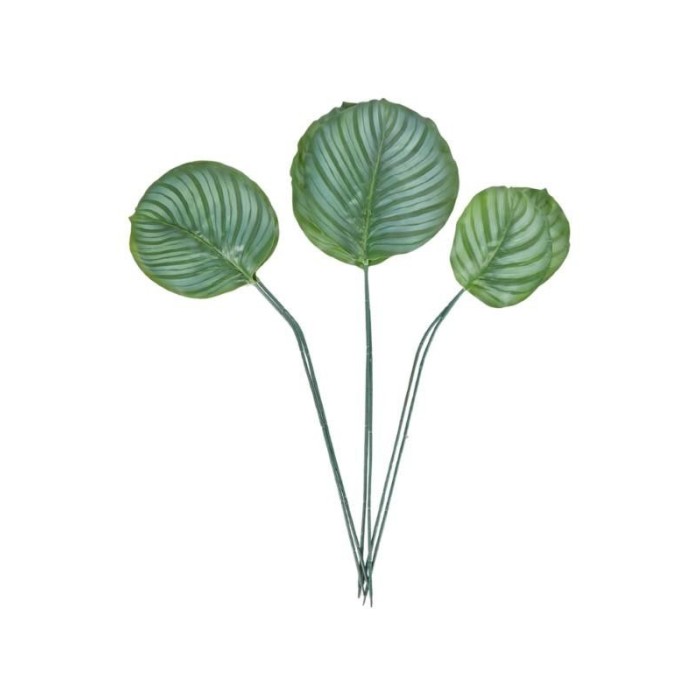 SET 6 FOGLIE ORBIFOLIA 3ASS